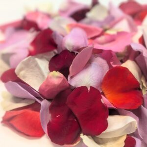 Rose petals