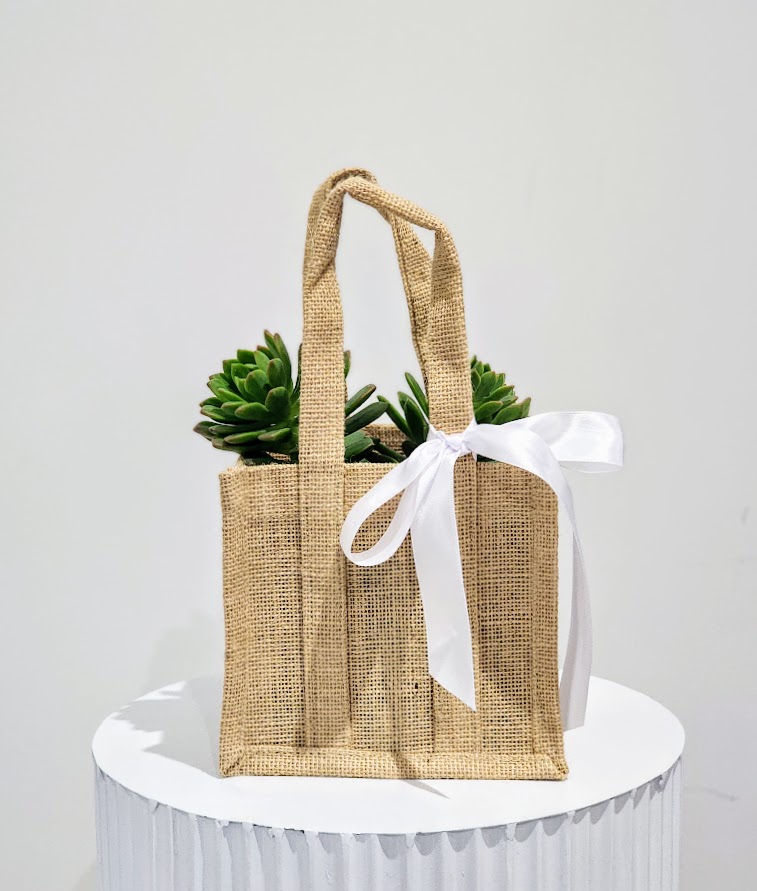 Succulent pot - Image 2