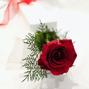 Long stem rose(s) in a premium box