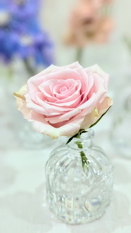 Mixed clear vintage bottles set/12 - Image 3